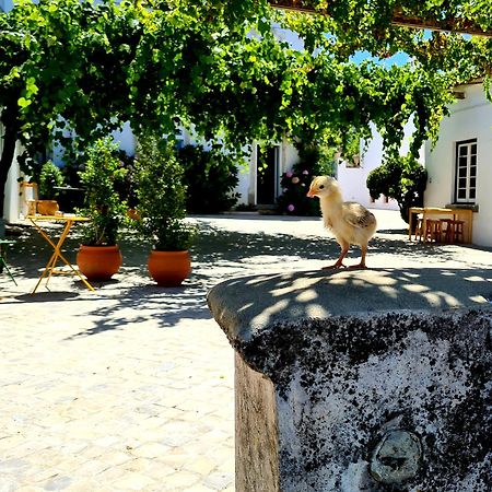 Oryza Guest House& Suites Κοΐμπρα Εξωτερικό φωτογραφία
