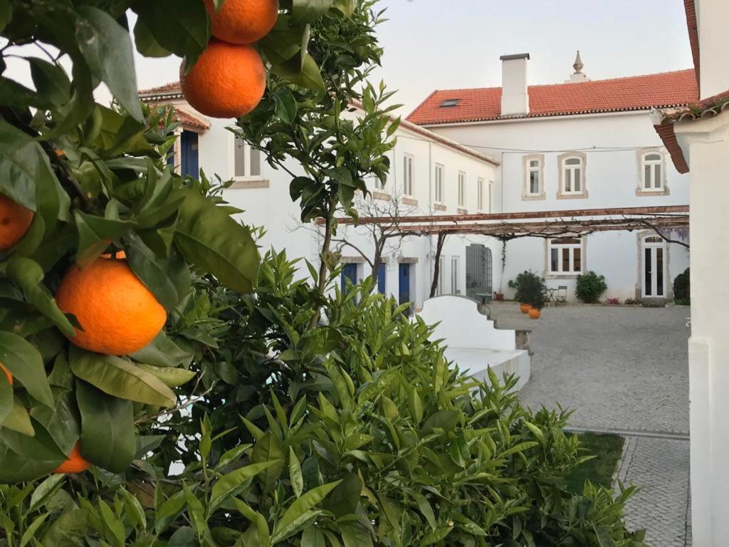 Oryza Guest House& Suites Κοΐμπρα Εξωτερικό φωτογραφία