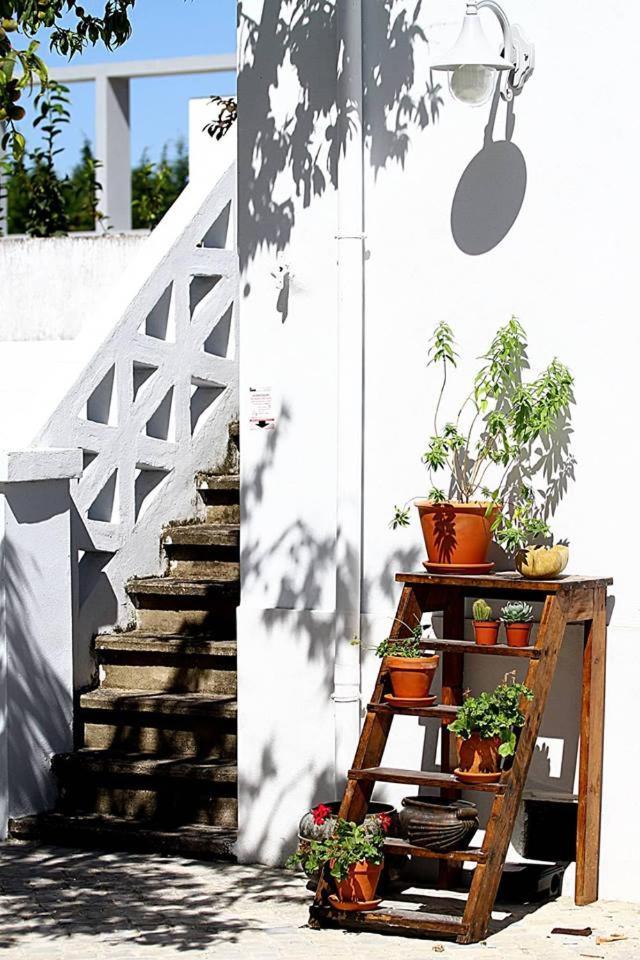 Oryza Guest House& Suites Κοΐμπρα Εξωτερικό φωτογραφία