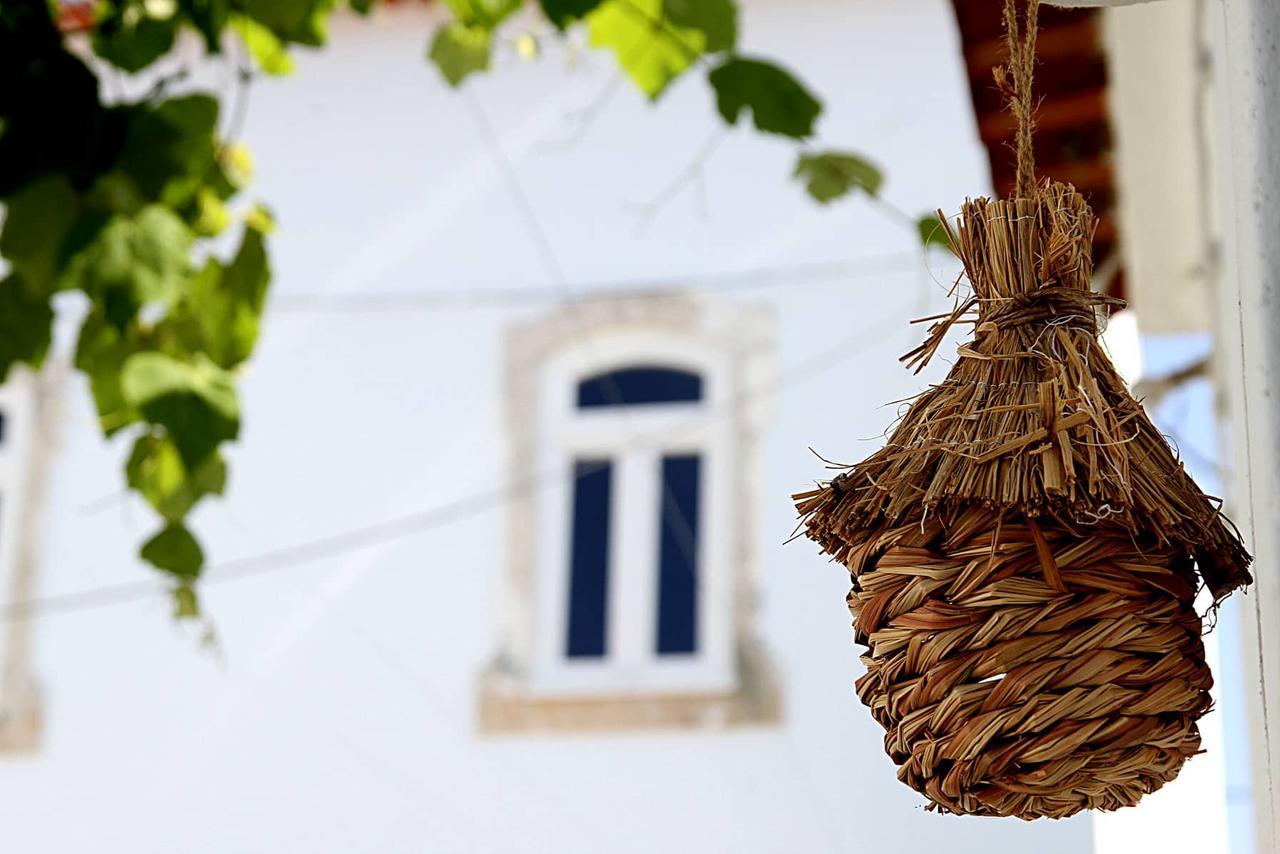 Oryza Guest House& Suites Κοΐμπρα Εξωτερικό φωτογραφία